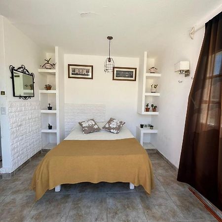 Casa Alvarado Hostel 萨尔塔 外观 照片