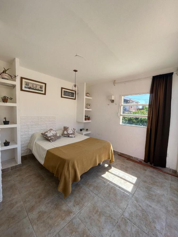 Casa Alvarado Hostel 萨尔塔 外观 照片
